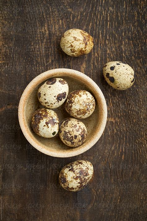 Quail Eggs In A Bowl By Stocksy Contributor Elisabeth Coelfen Stocksy