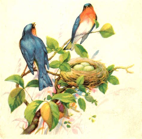 Antique Images Free Bird Clip Art 2 Birds In A Tree With