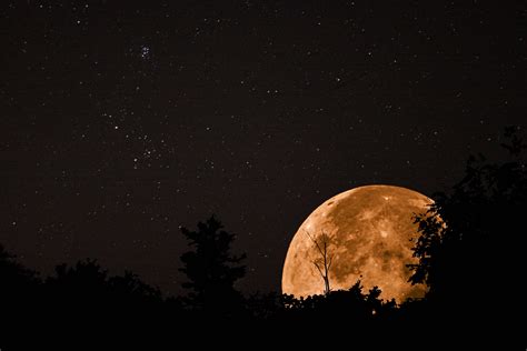 Papel De Parede Céu Roma Noite Floresta Satélite Lua Cheia