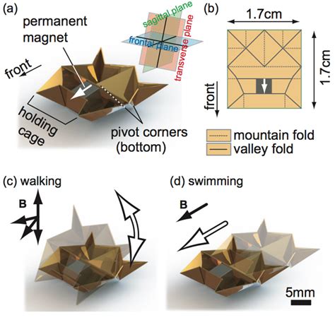 Self Folding Mini Origami Robots Are The Nanosurgeons Of Tomorrow The