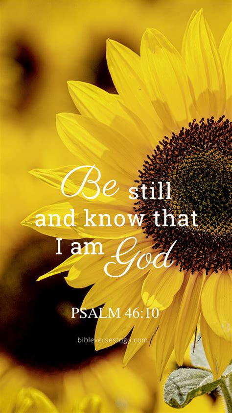 Sunflower Psalm 46 10 Encouraging Bible Verses