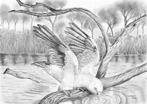 40 Incredible Pencil Drawings Of Nature You Have Never Seen Before