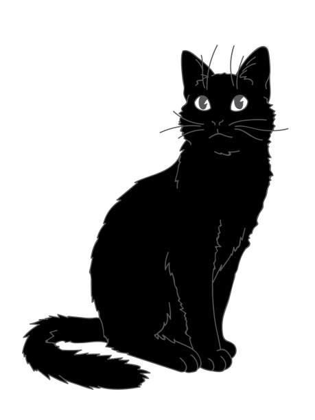 Best Cat Looking Up Illustrations Royalty Free Vector Graphics And Clip