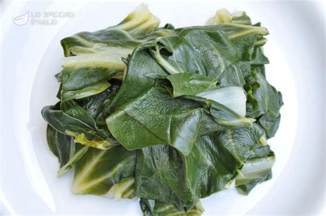 We did not find results for: Ricetta - Bietola bollita - Le ricette dello spicchio d'aglio
