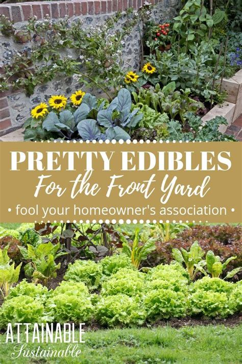As you see planting your own vegetable garden is healthy for you physically. Gardening is learning, learning, learning | Perennial ...
