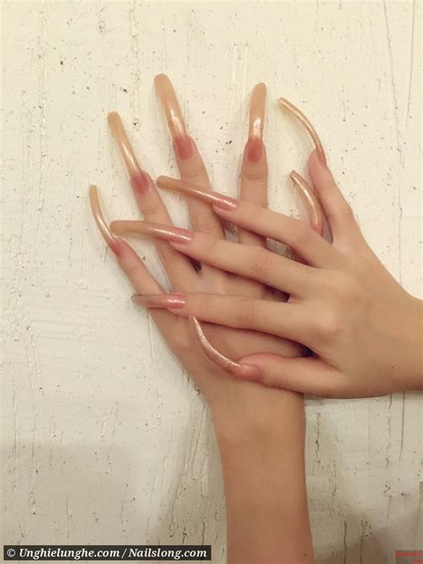 Pin By Percy On Curved Nails Long Nails Curved Nails Long Natural Nails