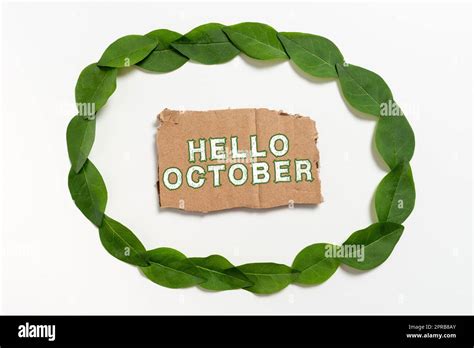 Handwriting Text Hello October Business Overview Last Quarter Tenth
