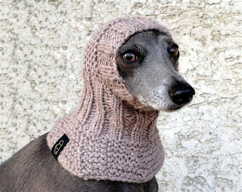 Italian Greyhound Snood Greyhound Hat Hand Knit Dog Hat Etsy Dog
