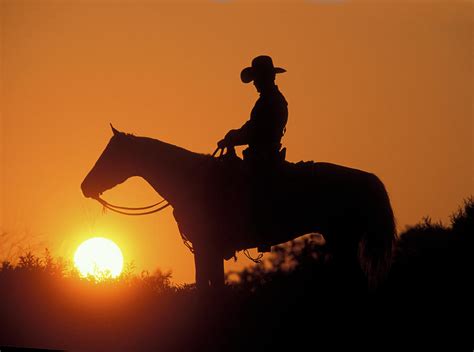 Cowboy Sunset Silhouette Photograph By Shawn Hamilton Pixels