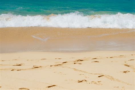 Free Images Beach Shore Sea Wind Wave Body Of Water Sand Ocean Coast Horizon Material