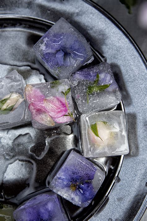 Edible Flower Ice Cubes Salted And Styled