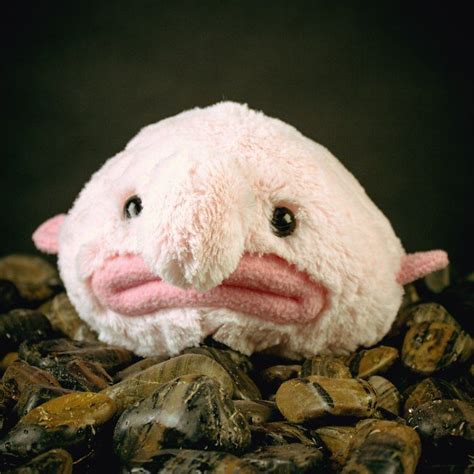 The blobfish, in particular, lives at depths of up to 3900 feet (1189 meters) where the normal pressure is about 118 times higher than that at sea level. Stuffed Blobfish | To be, Blobfish and The o'jays