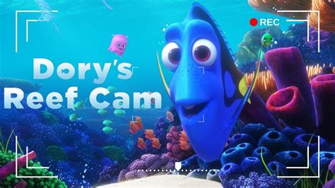 Dorys Reef Cam Disney Finding Nemo Animated Screensaver