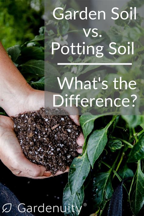 Start date jun 7, 2011. Garden Soil vs Potting Soil | Garden soil, Potting soil ...