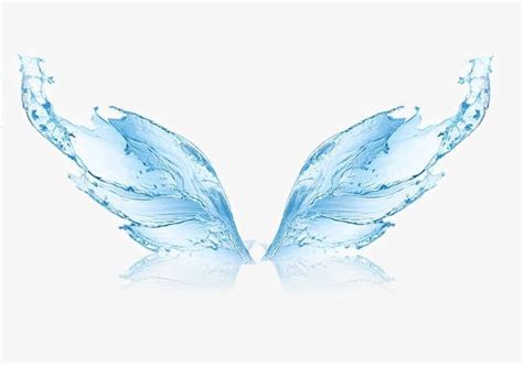 Water Wings Png Transparent Water Water Clipart Water Wings Wing