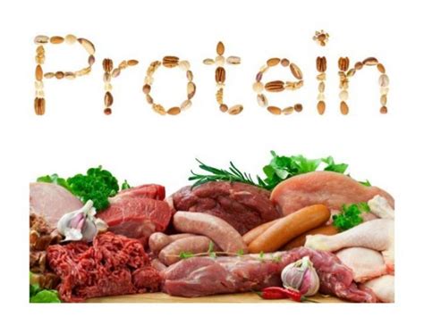 Foods rich in protein when consumed help to keep our blood sugar levels stable, increase metabolism and also help to provide us with the necessary energy to carry out with our daily activities. Nurse's Notes: The Protein Group - The Health Benefits | News