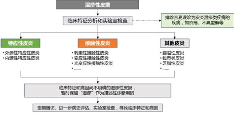 《皮炎湿疹类疾病规范化诊断术语专家共识》重磅发布，诊断流程进一步规范皮炎湿疹医脉通