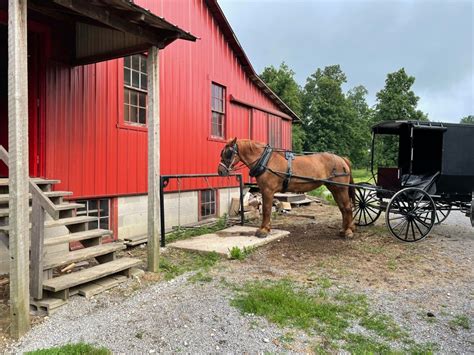 Navigating Ohios Amish Country The Best Things To Do Where To Stay