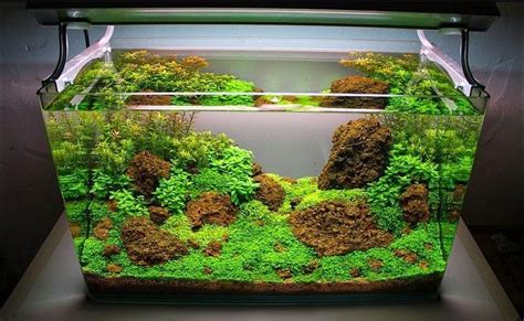 Cara membuat aquarium dari bahan stayrofoamподробнее. Cara Membuat Hiasan Aquarium Kecil Dari Styrofoam Sendiri