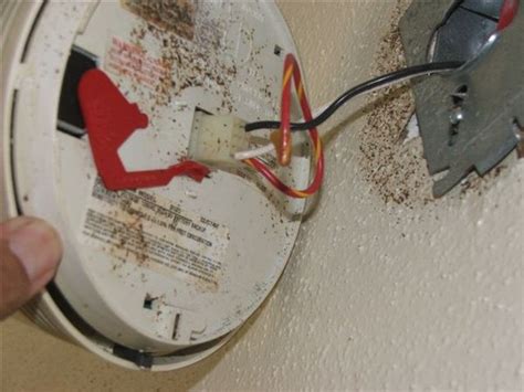 They are perhaps the most important electronic devices in your home. Pests and smoke alarms—a dangerous combination (sample ...