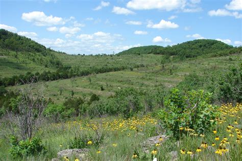 We did not find results for: Glade Top Trail