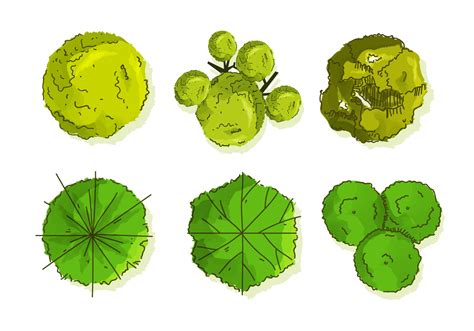 Tree Plan Free Vector Art - (9602 Free Downloads)