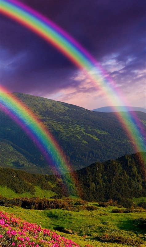 Pin By Cidinha Meneghel On Natureza Exuberante Rainbow Photography