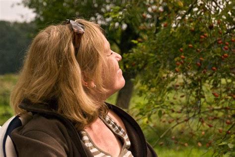 Master gartenhandgeräte & zubehör reklamiert und entweder repariert oder als neues gerät kurzfristig. Mühlenfelds-Hof in Wietzen bei Nienburg an der Weser