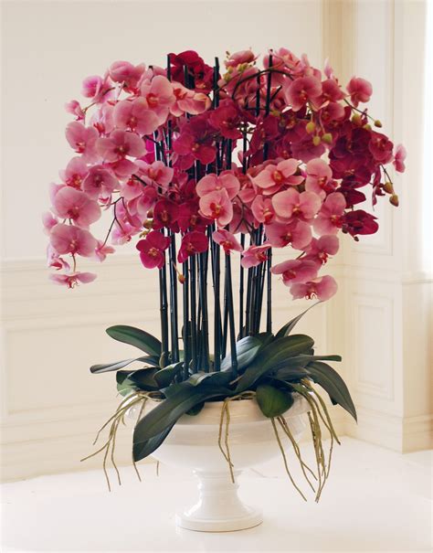 Phalaenopsis In Pedestal Bowl Whwwh111 Lvfu Orchid Flower Arrangements Orchid Arrangements