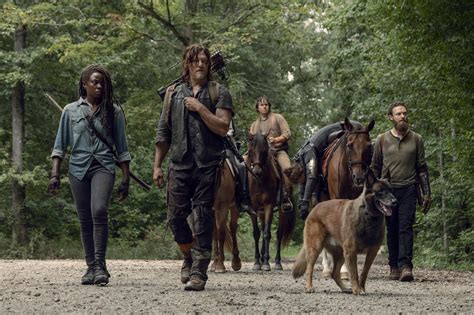 The Walking Dead Season 9 Trailer Available Now Releasing On Blu Ray