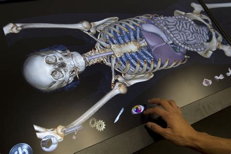 Body Image Computerized Table Lets Students Do Virtual Dissection