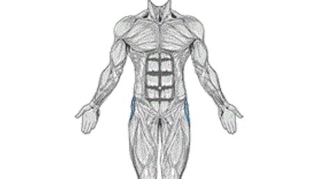 Work your glutes, back, and it band with this move. Fire Hydrant Workout