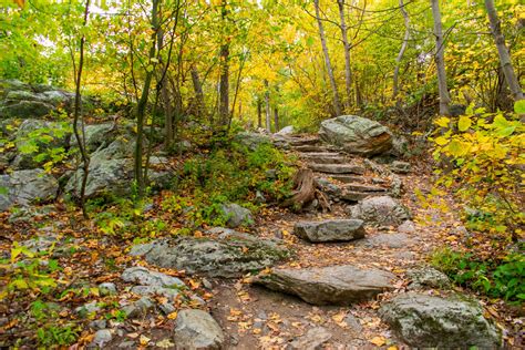The Best NJ Hiking Trails: Sunrise Mountain (Stokes Forest) - Best of NJ