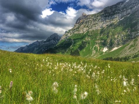 Green Grass Near Mountain · Free Stock Photo