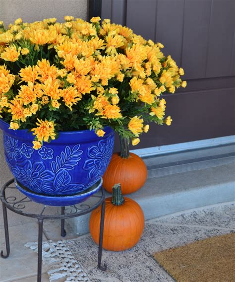 Fall Planters Outdoor Planters Fall Outdoor Diy Outdoor Planting