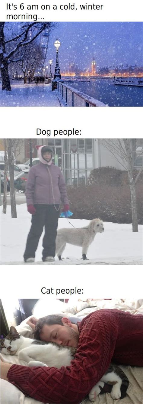 Winter Wonderland In 2021 Funny Animal Memes Dog People Cat People