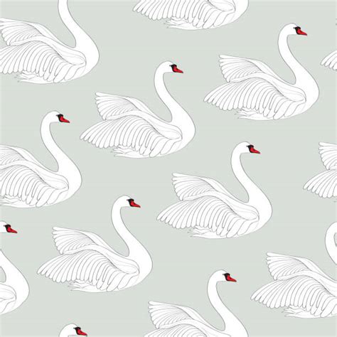 Swan Illustrations Royalty Free Vector Graphics And Clip Art Istock