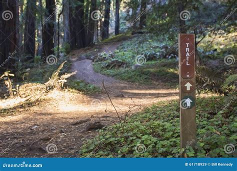 Hiking Trail Marker Stock Image Image Of Post Marker 61718929