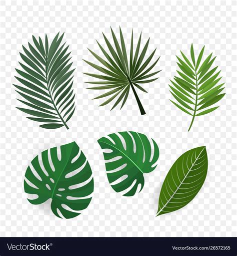 Palm Leaves Clip Art Royalty Free Vector Image
