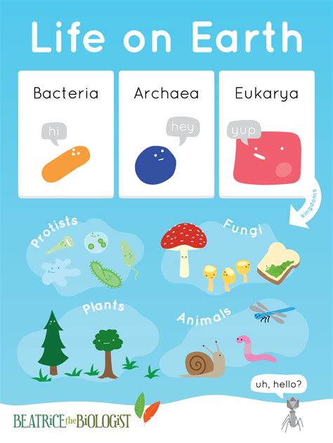 Bacteria Archaea And Eukarya Are The Three Big Domains That We Can