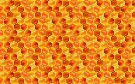 Download Wallpapers Honeycomb Texture 4k Food Textures Honeycomb