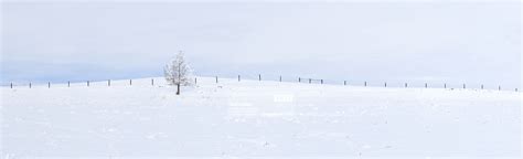 Photos Of Snowy Fields Vast