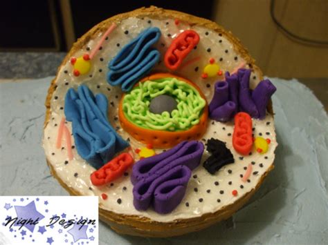 Select from premium eukaryotic cell of the highest quality. That's a eukaryotic cell cake. HOW AWESOME?! | Ideas ...