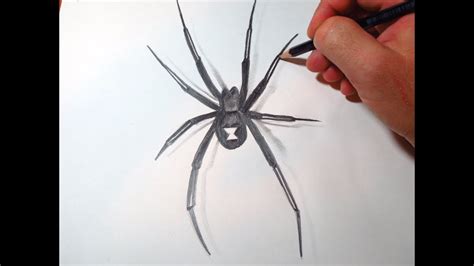 How To Draw Black Widow Spider Youtube