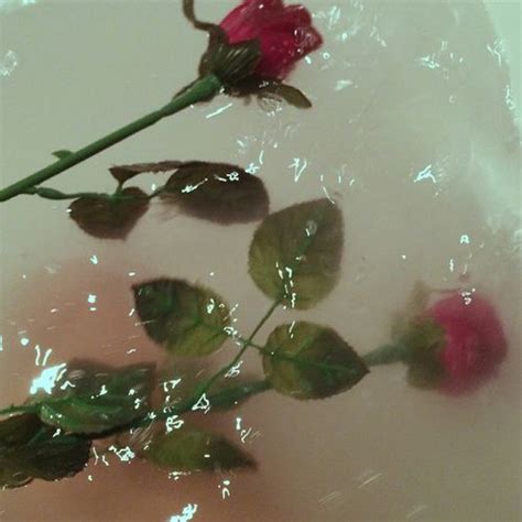 Image Result For Aesthetic Roses In Water Aesthetic Roses Red