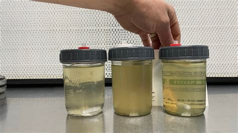 Quick Screen For Liquid Cultures Turbidity Test To Detect Bacteria In Mushroom Culture YouTube