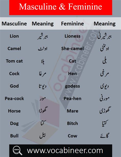 List Of Male And Female Words With Urdu Masculine And Feminine In Urdu Pdf List Of Masculine