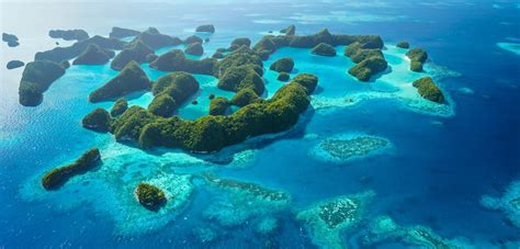 Top 8 Things To Do In The Incredible Rock Islands In Palau Unusual