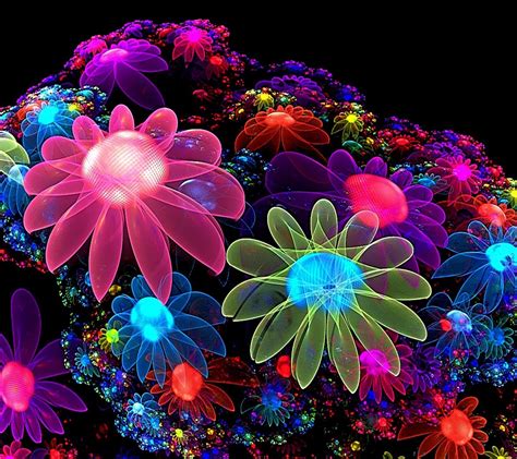Wallpaper : fractal flowers, color, flower, flora, petal ...