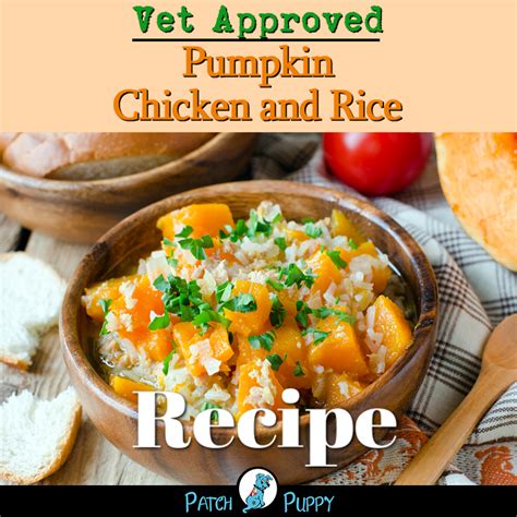 Without further delay, let's take a look at some easy recipes so you can take control of your dog's health. Give this Vet approved pumpkin chicken and rice recipe a ...